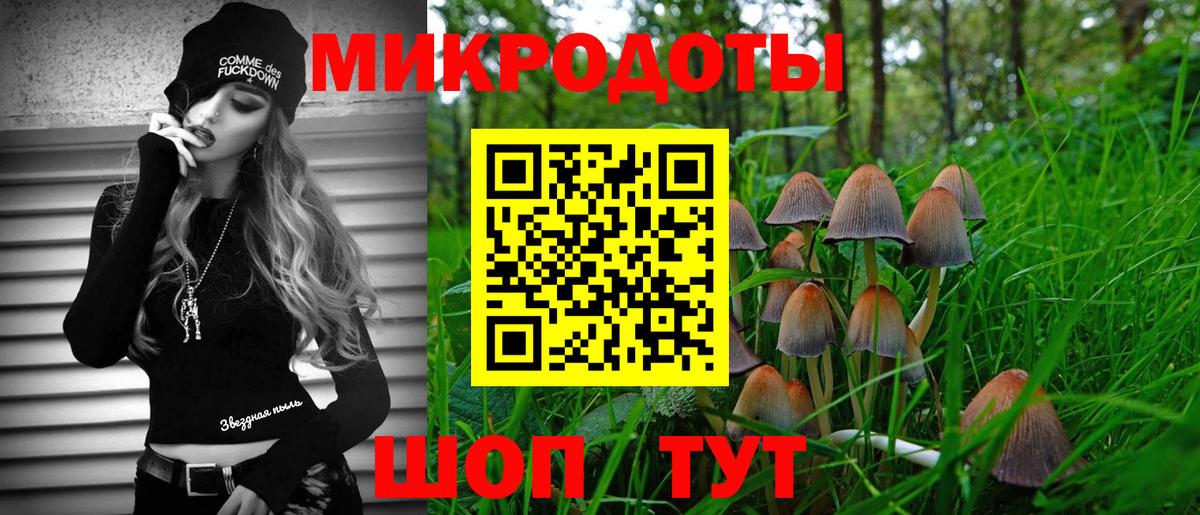 Галлюциногенные грибы прущие грибы  Псилоцибиновые грибы мицелий  Среднеуральск  Вход с VPN 